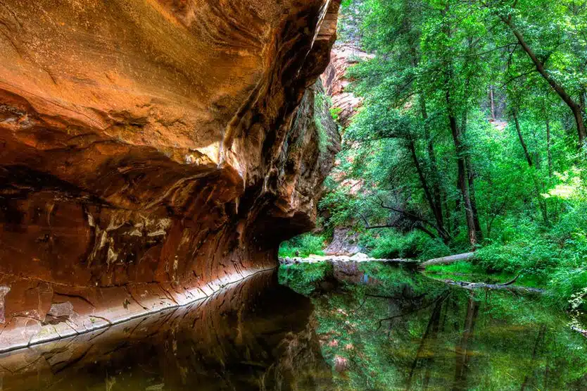 Alternative to Meds Center - Thumbnail 6