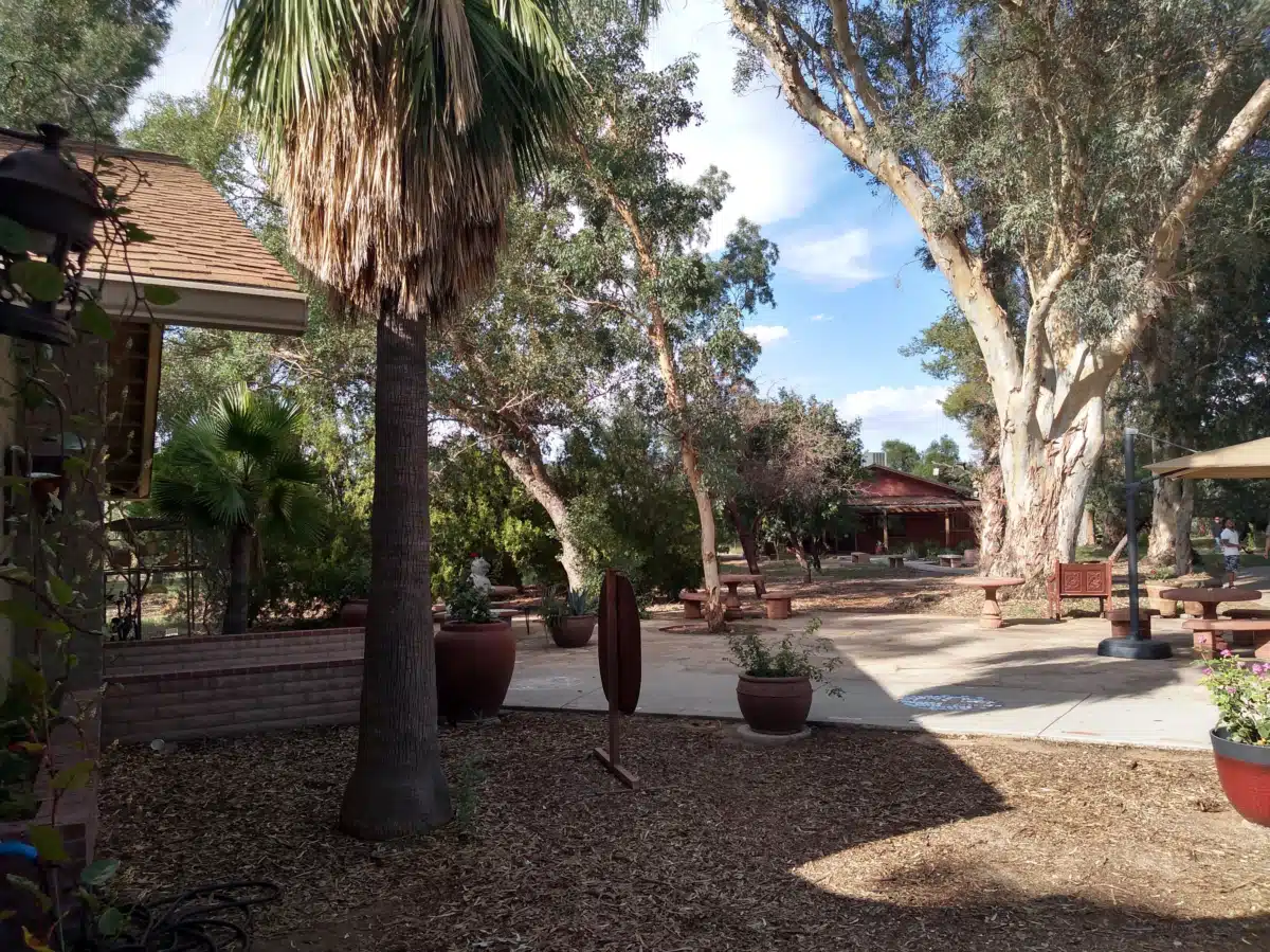 Amity Foundation - Thumbnail 3