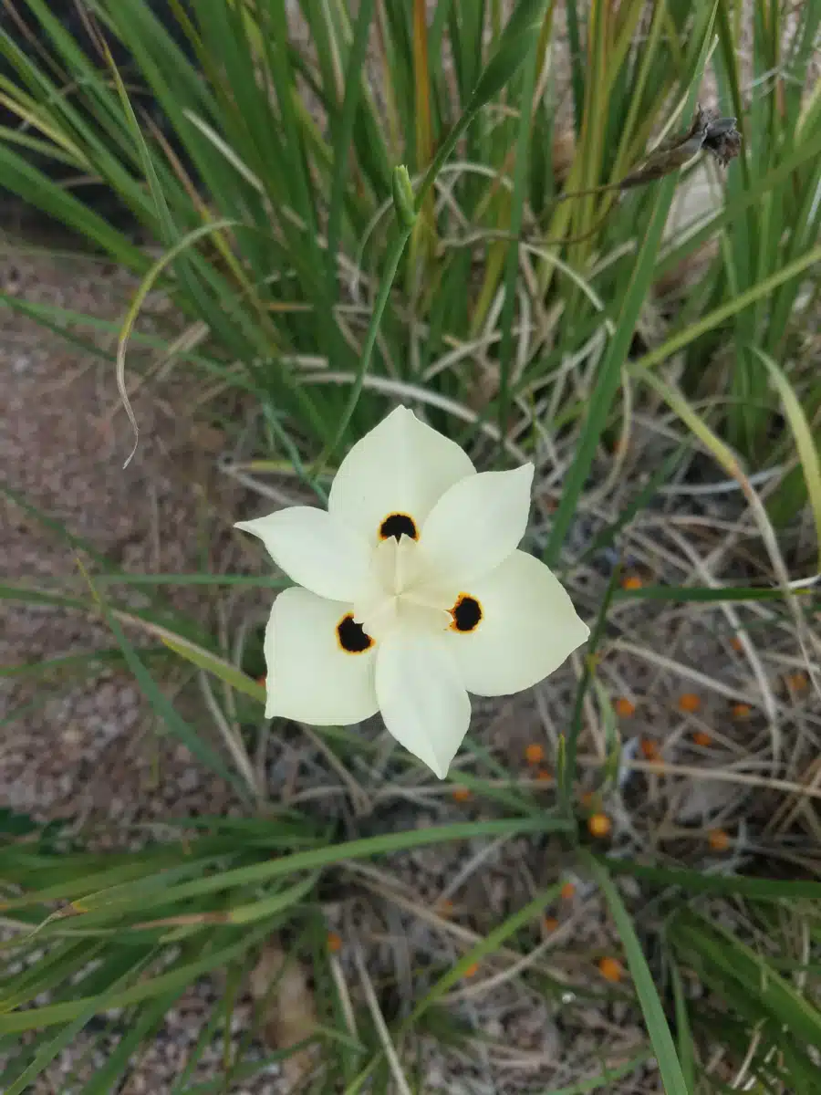 Easterseals Blake Foundation - Thumbnail 5