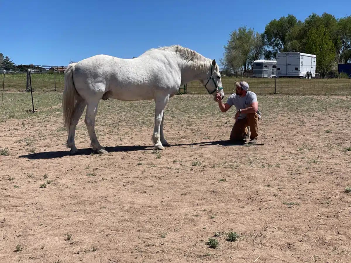 Holdfast Recovery - Thumbnail 2