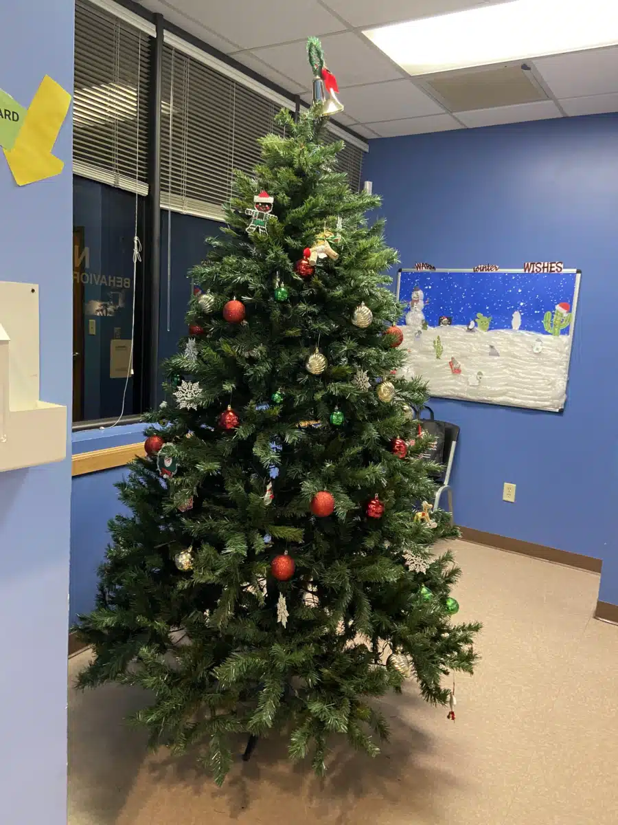 New Hope Behavioral Health Center Inc - Thumbnail 2