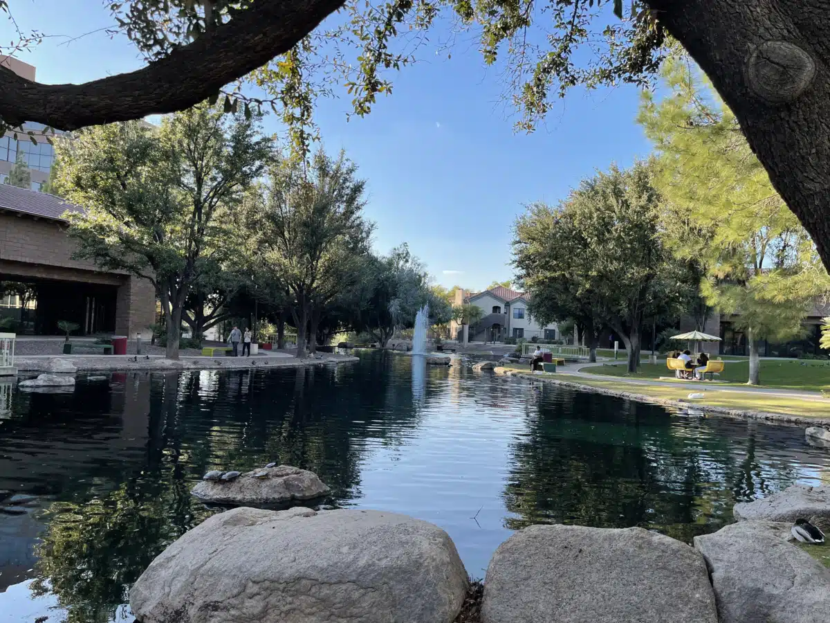 NorthSight Recovery - Thumbnail 9