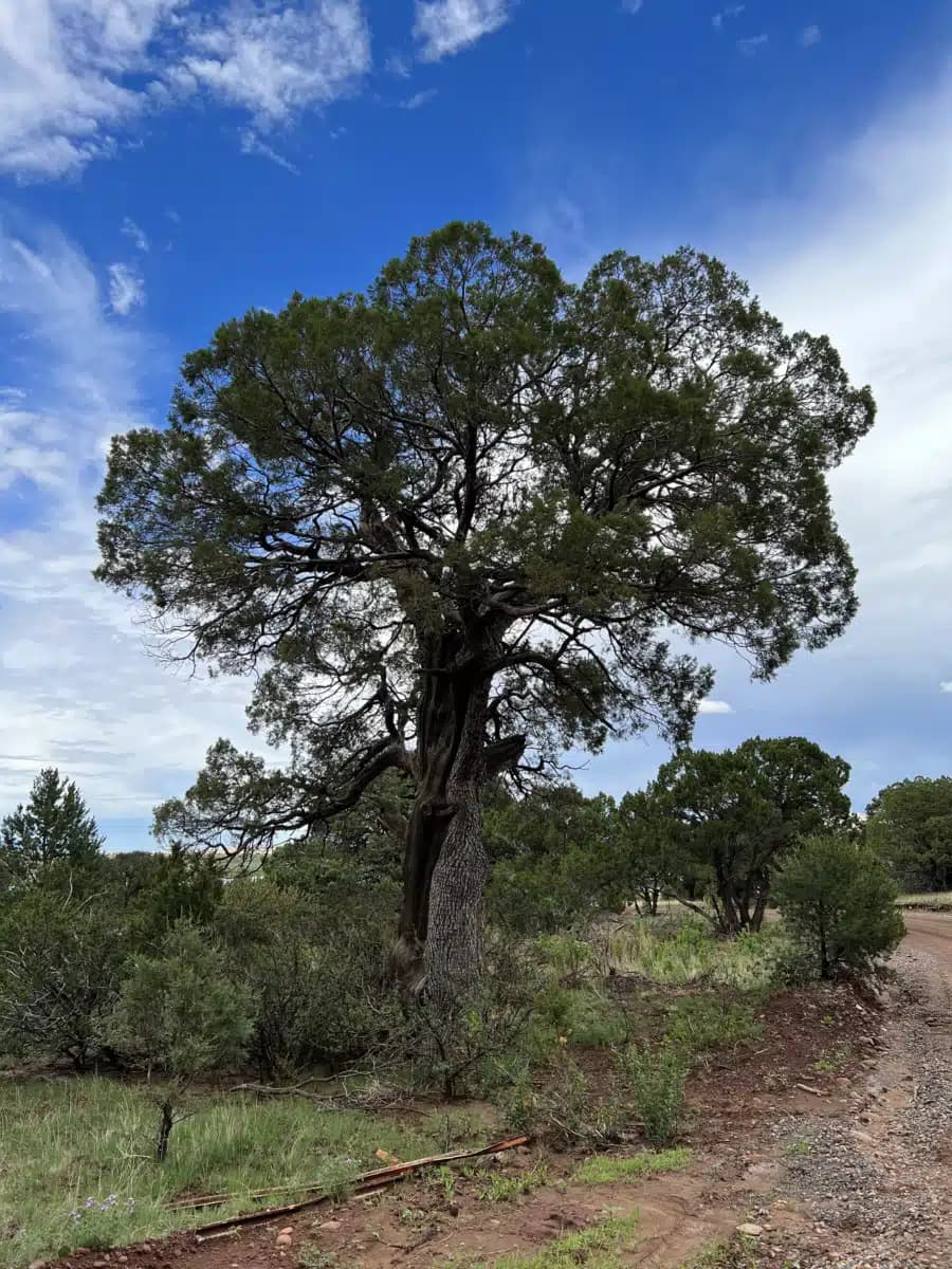 WayPoint Recovery - Thumbnail 2